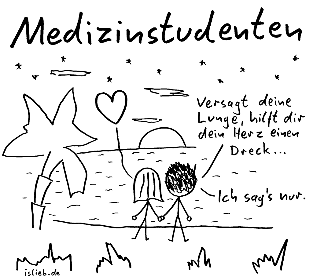 Medizinstudenten | Strichmännchen-Cartoon | is lieb? | Versagt deine Lunge, hilft dir dein Herz einen Dreck. Ich sag's nur. | Studium, Sonnenuntergang