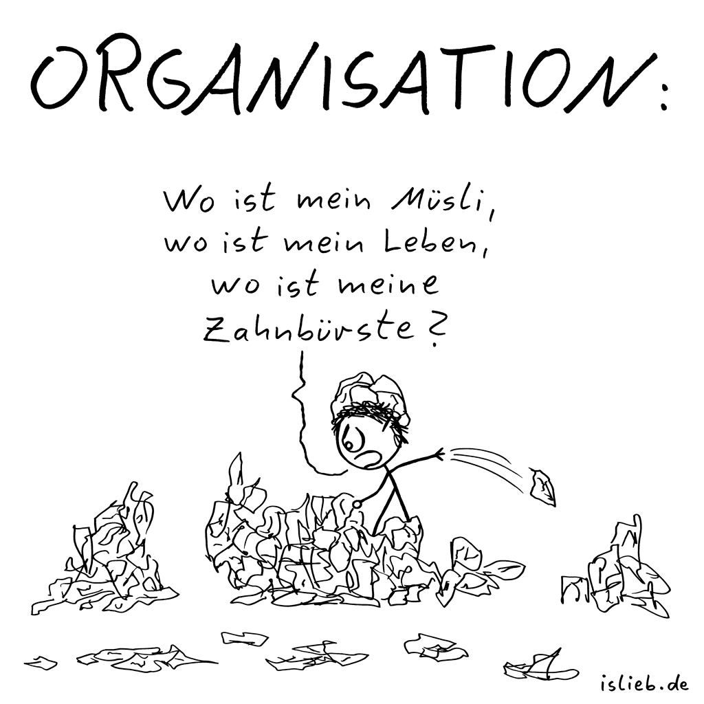 Organisatin | Chaos-Cartoon | is lieb?